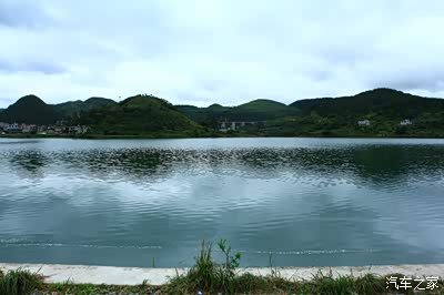 金翠湖,没有天鹅,但有灰腾,谁火了?