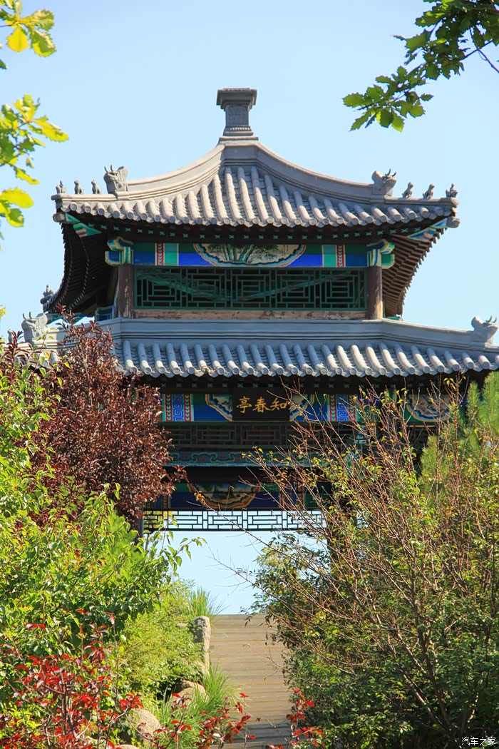 游中国亭园赏哈尔滨市香坊区第十四届菊花展