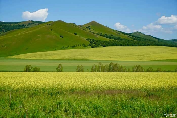 这个假期属于我——萨瓦纳草原行