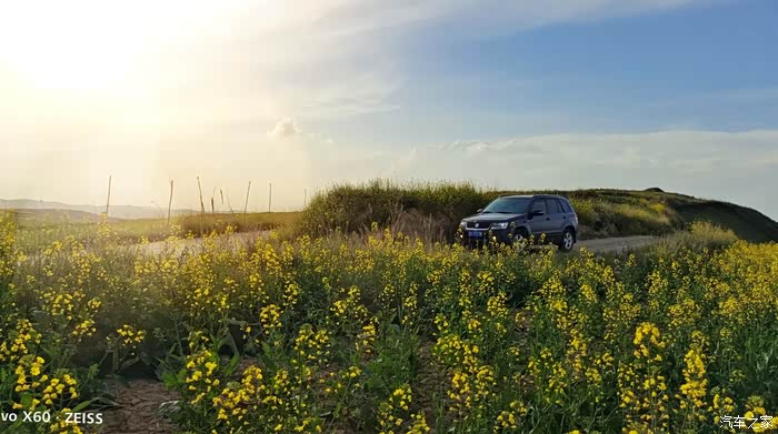 西宁大酉山的油菜花来啦