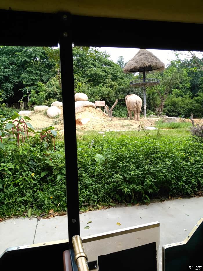 广东梅州雷凌车友会广州自驾游记长隆野生动物园