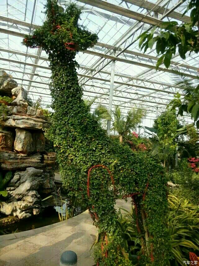 游灵璧县生态园 迟来的帖子求精