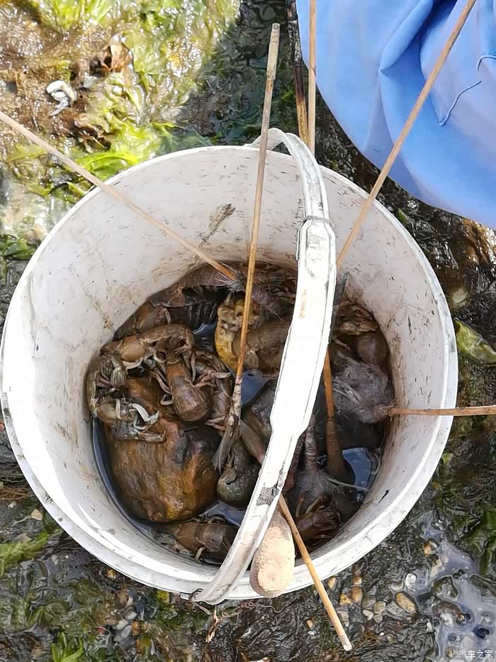 大黑石赶海