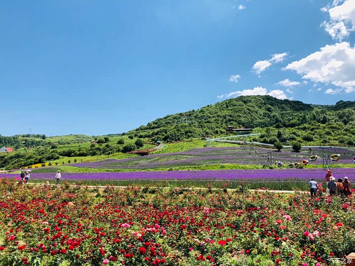 高温补贴再游青海民和七里寺花海