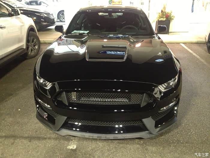 【图】越看越喜欢黑马_mustang论坛_汽车之家论坛