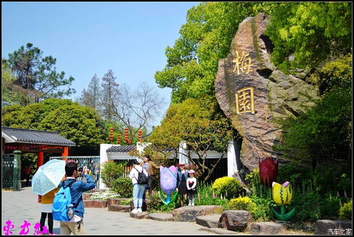 梅园大门,引着游客不停的拍照,小巧的郁金香雕塑甚可爱