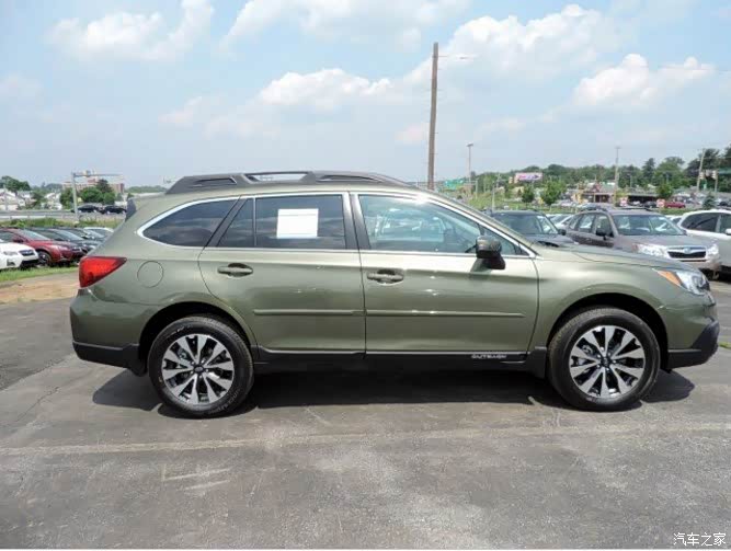 没见有人发过野生绿颜色的傲虎我来发几张