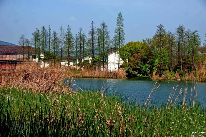 【图】十里青山半入城 万亩碧波涌西门——游尚湖