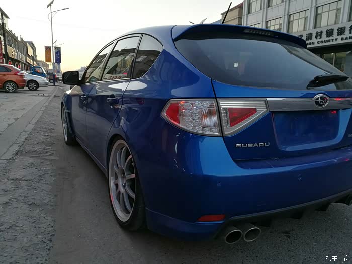 出售10代斯巴鲁翼豹母豹