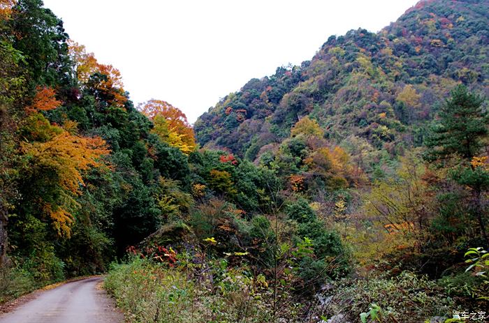 平武县老河沟自然保护区的红叶季