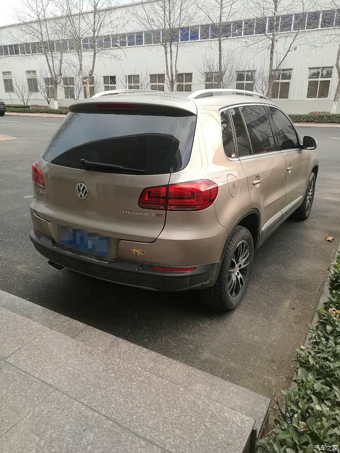 途观l天漠金图片? 谁有高清的,纠结银色和金色