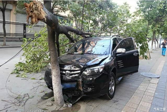 迪和宝骏撞树报道 大家看看图想说什么_宝骏560论坛_汽车之家论坛