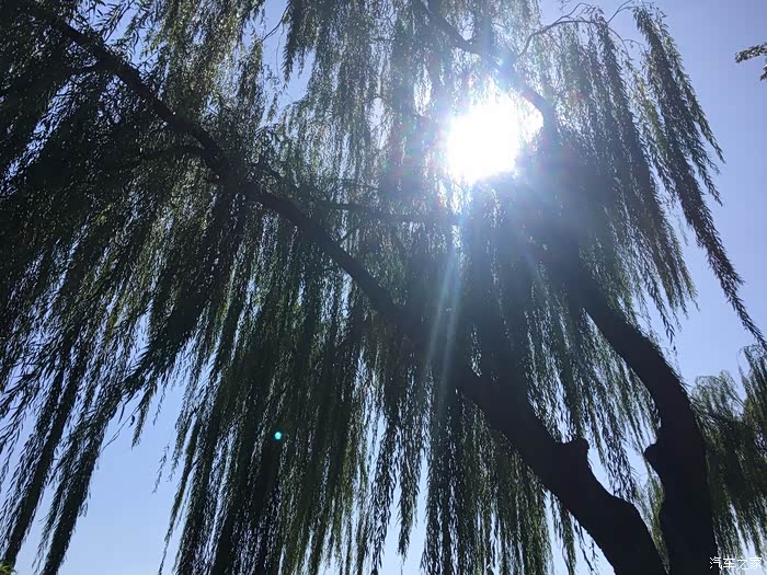 趁着阳光正好趁着微风不燥享受初秋的美好