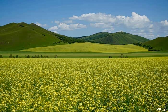 这个假期属于我——萨瓦纳草原行