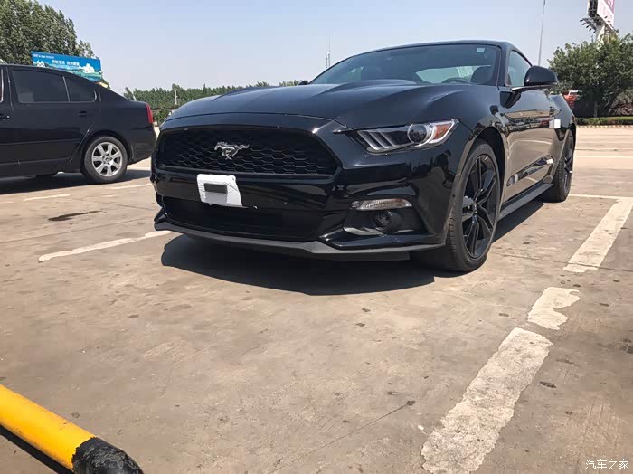【图】提车啦,中规黑色野马_mustang论坛_汽车之家论坛