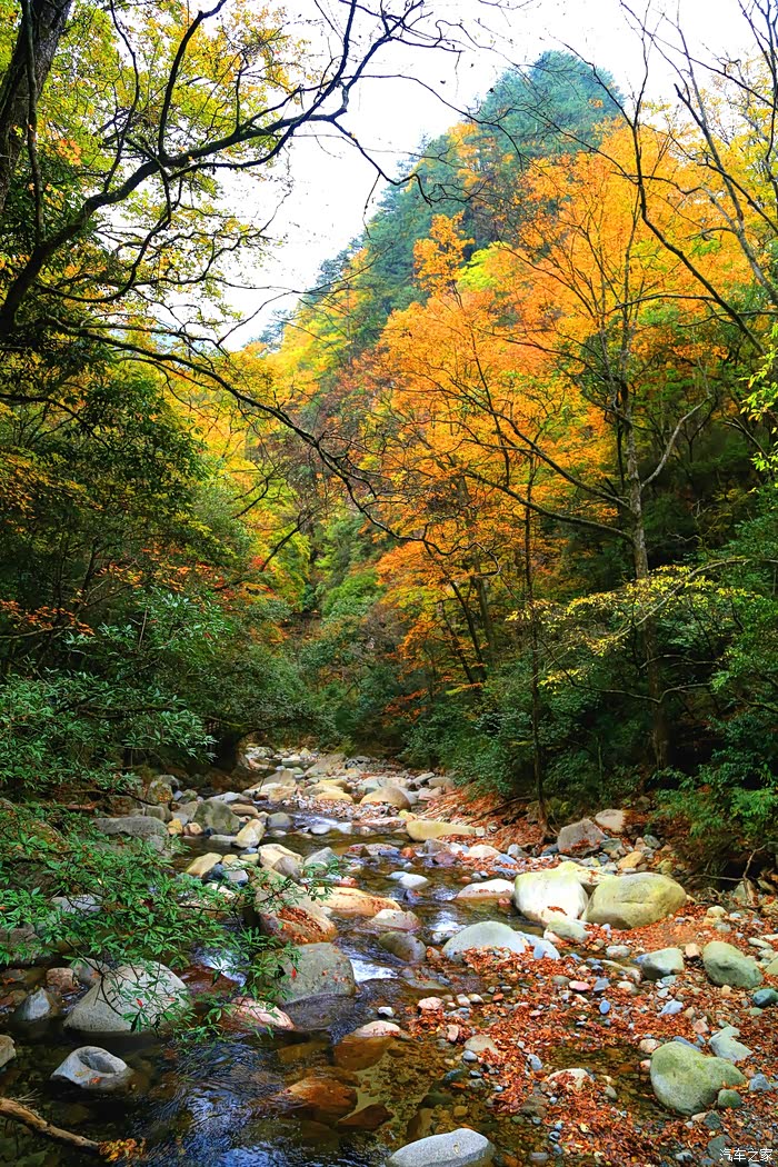 光雾秋韵彩叶舞蹁跹巴中南江光雾山游记