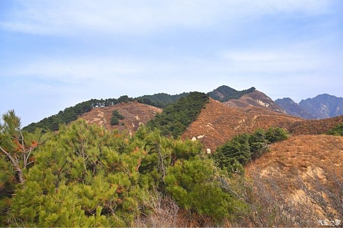 秦川大地虎頭山松柏蒼蒼雲霧密林農家通幽處