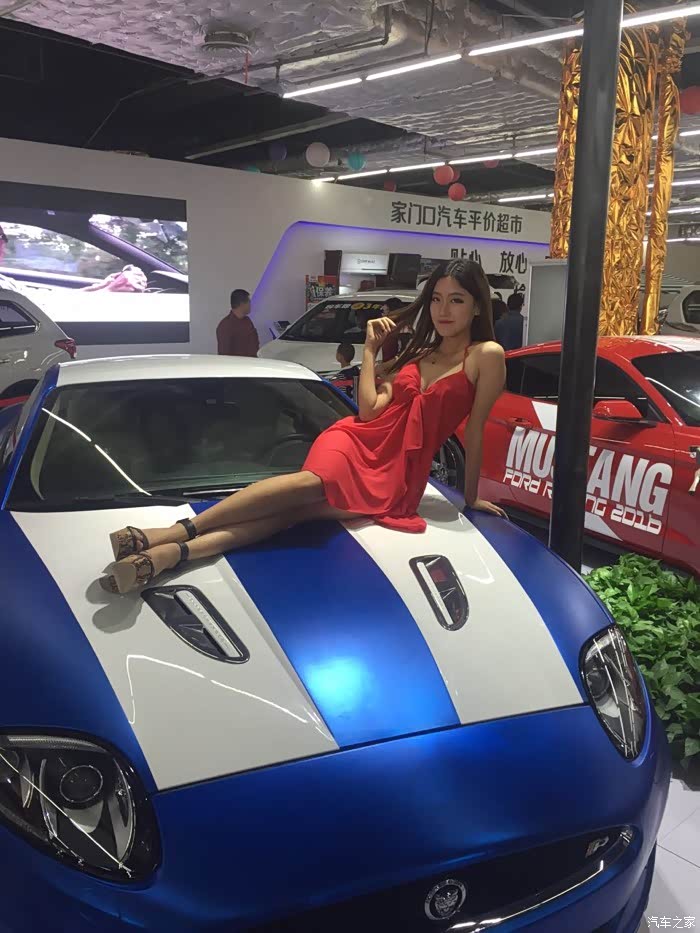 淄博国际车展车模