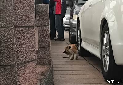 情怀--Honda CB400试驾