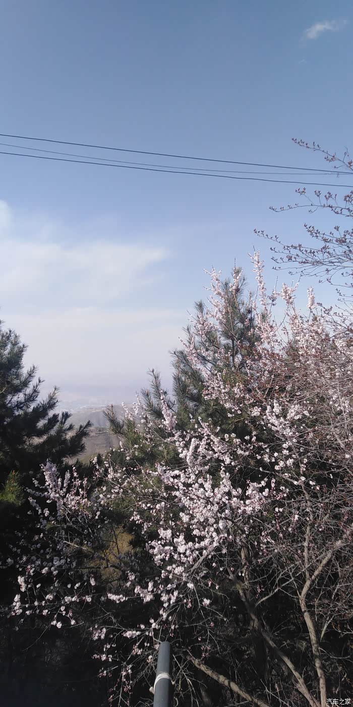 兰州西固关山森林公园