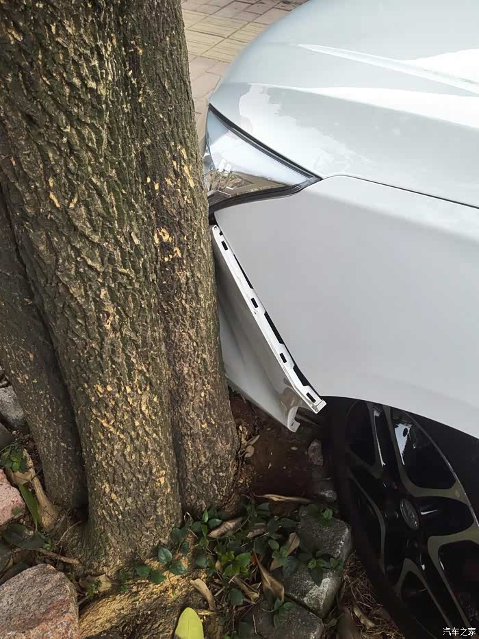 车挂到树车居然撞不赢大树