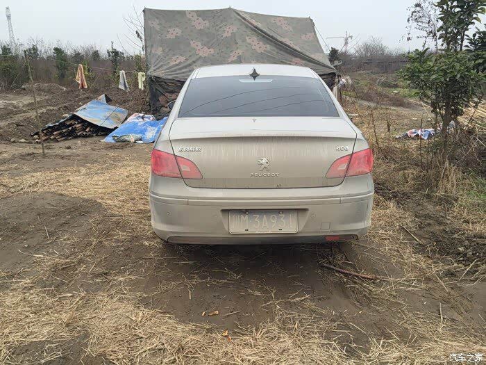 论坛第一,脏,对狮子的份量!