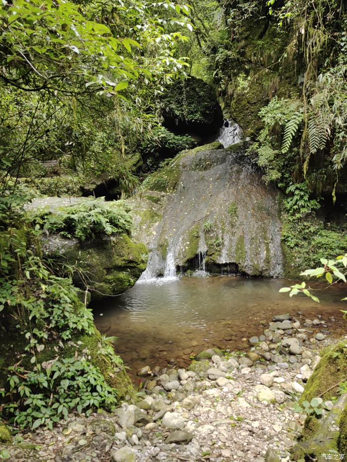 都江堰青城后山五龙沟一游