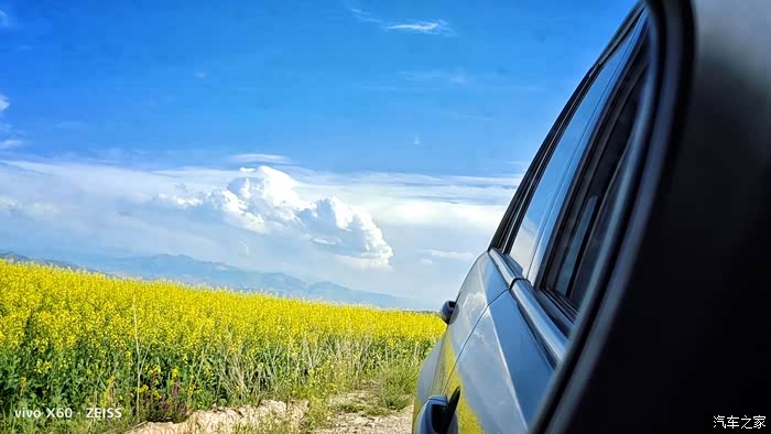 西宁大酉山的油菜花来啦