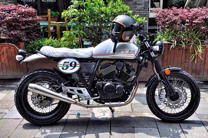 入手龙嘉小复古