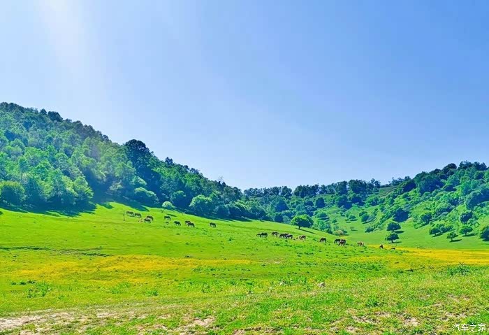 漫漫红尘路相思草原情