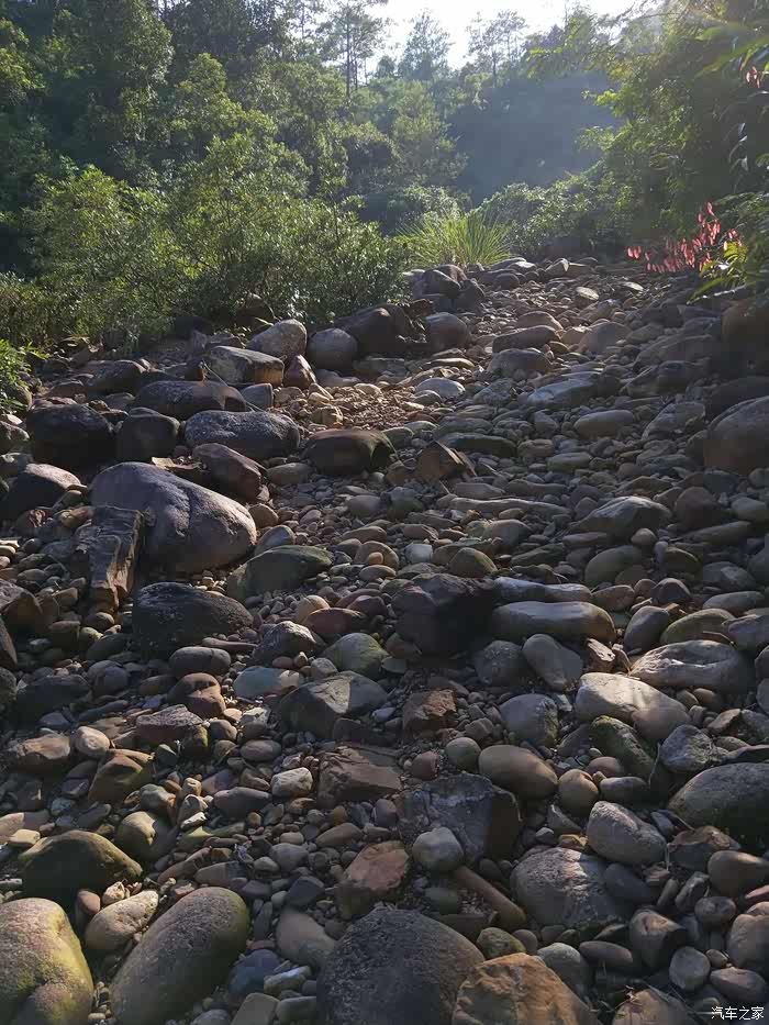 102游十万大山腹地