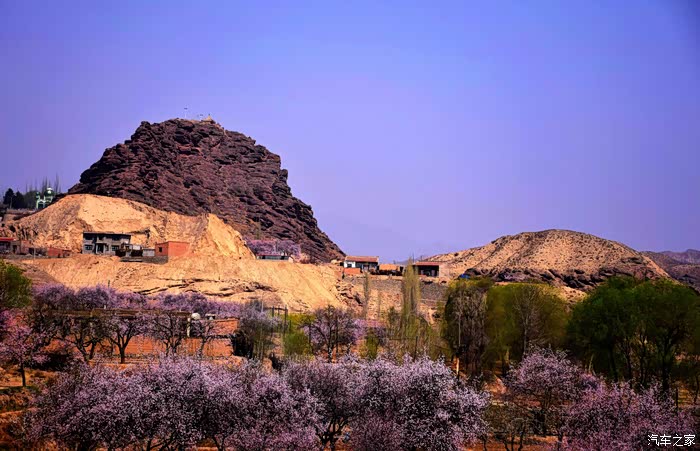 东乡族县唐汪镇的醉美杏花和丹霞奇观