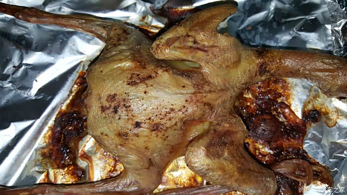 【逍遥】黯然销魂之萝卜鸡汤 烤箱美食-终极篇 - -!