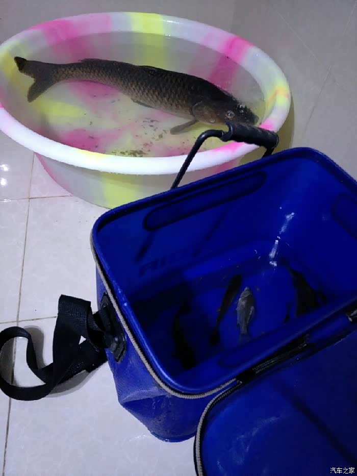 第一次钓超过10斤的鱼