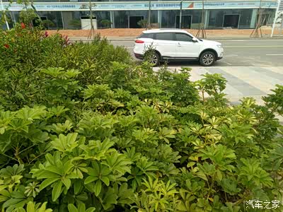 【厦门博越车友汇】忙里偷闲 陪太子爷御驾亲