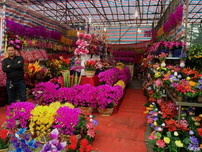 2017广东中山沙岗墟迎春花市今天开街