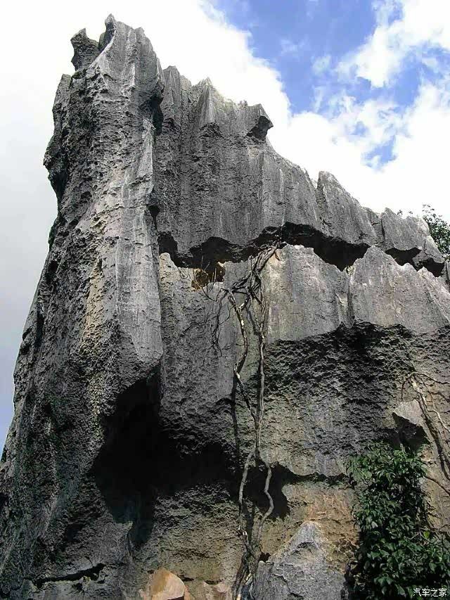 迎暖春送积分奇风洞