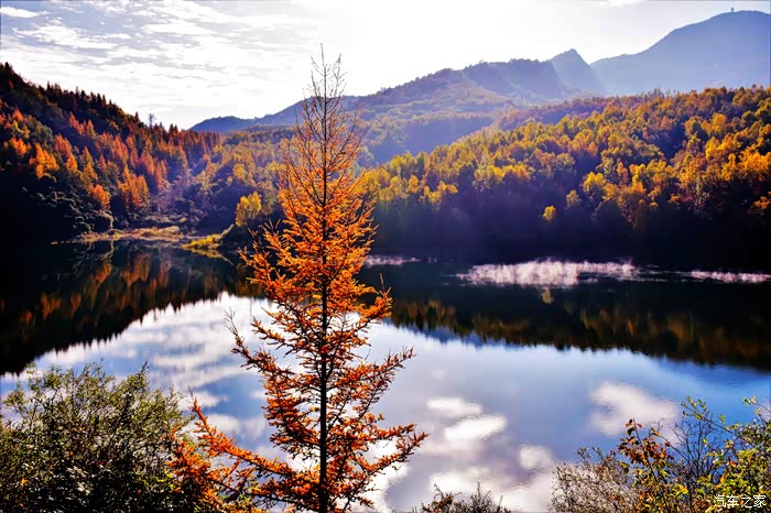 自驾金秋醉美康乐药水峡