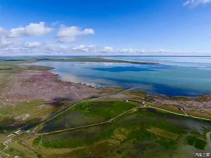 这个假期属于我——萨瓦纳草原行