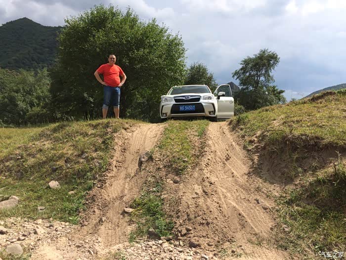 老掌沟马失前蹄狗啃地