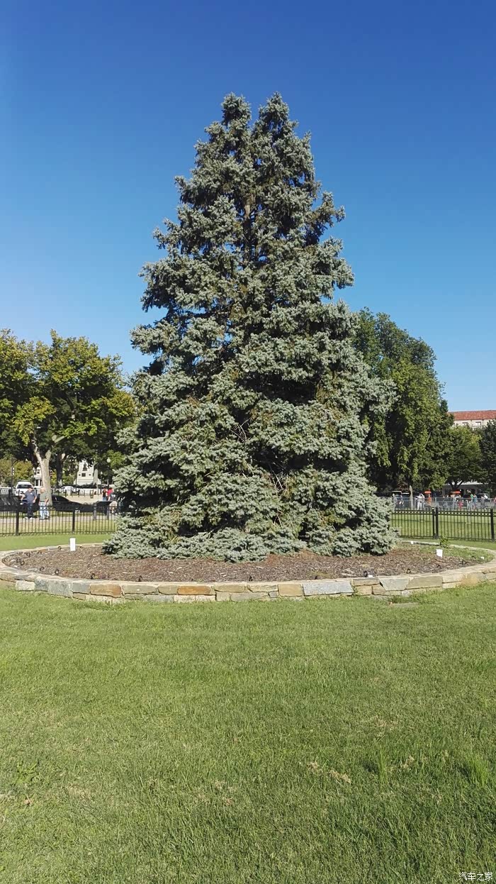 萨瓦纳美好生活之美国发现之旅