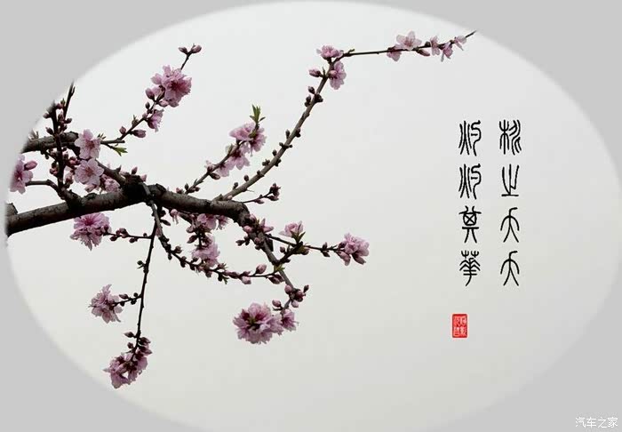 g刻启程桃之夭夭灼灼其华gx7于归宜室宜家