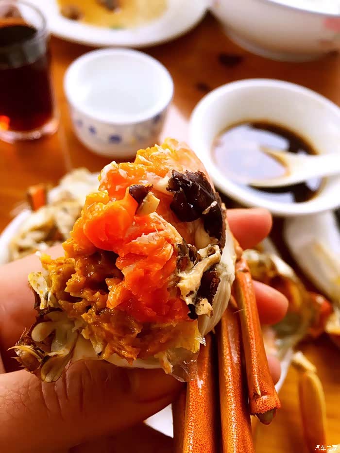 出发阳澄湖吃大闸蟹