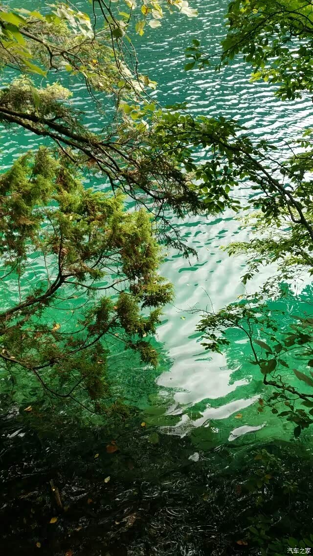 回到"初恋"的地方,四川成都重庆自由行.纯青山绿水图(申精)