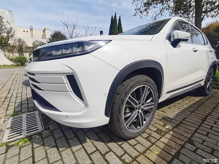 星途lx伴我一起去郊游改油漆颜色更靓