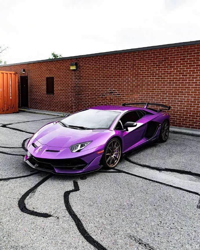 【图】紫魅大牛兰博基尼svj ,霸气十足_哈飞小霸王论坛_汽车之家论坛