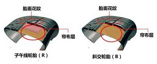 子午线轮胎结构图解