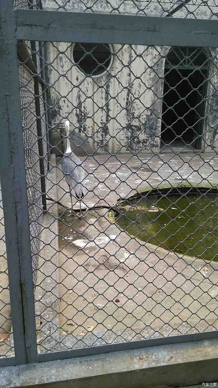 【圖】【冀車匯邢臺縱隊】小苛邢臺動物園遊記_河北論壇_汽車之家論壇