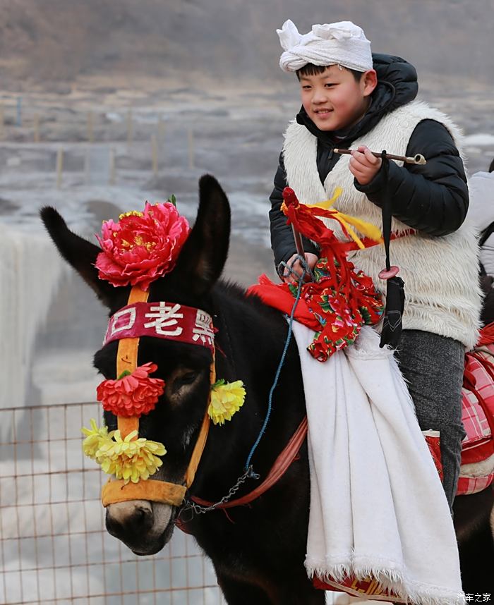 骑毛驴上北京图片