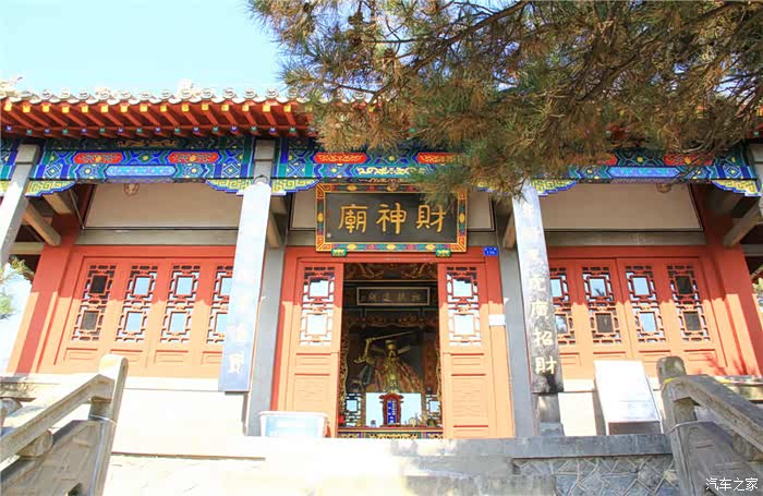 【你好2021】泰山柏洞